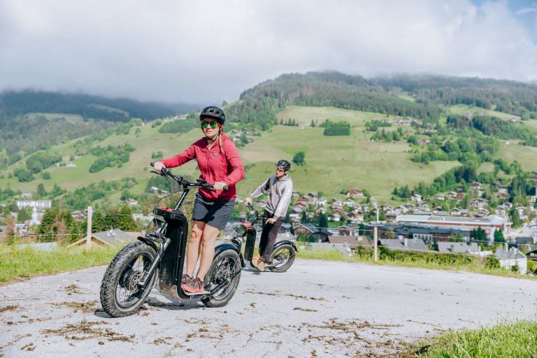 Private electric scooter image2