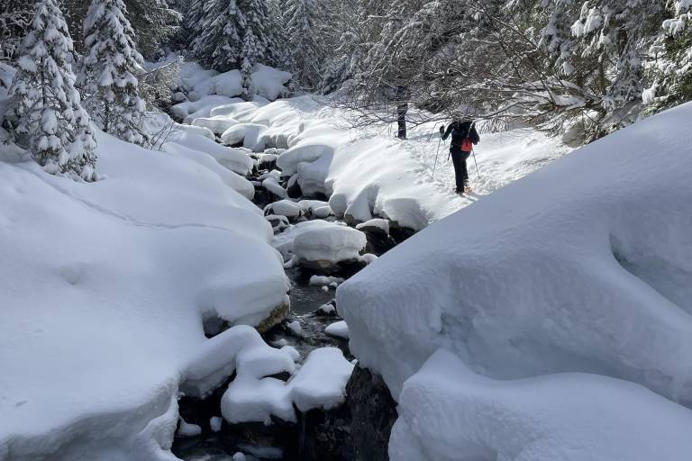 Guided snowshoe hikes image1