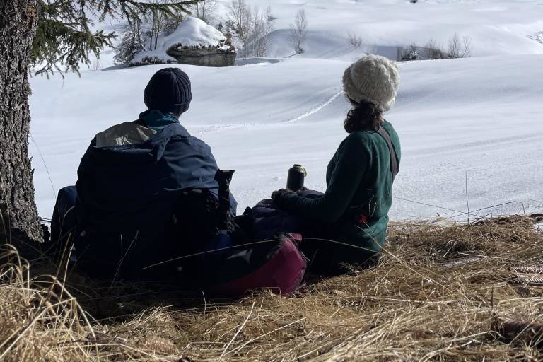 Guided snowshoe hikes image2