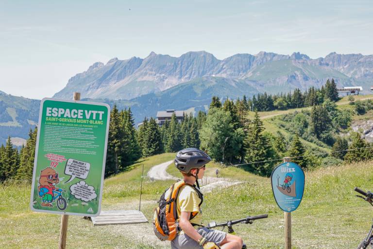 Mont d'Arbois image2