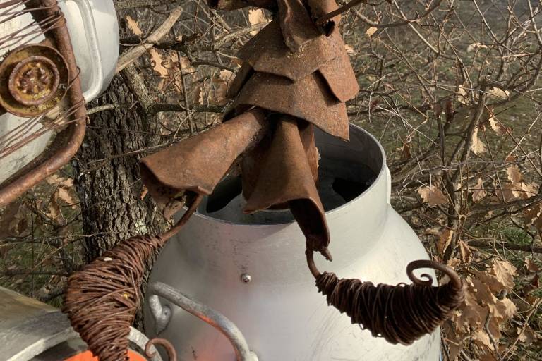 Balade ressourçante - La forêt des Follatons image1