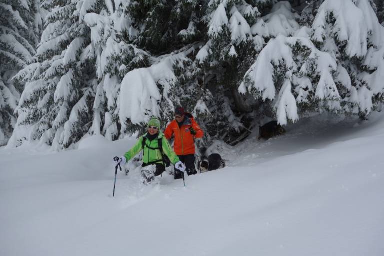 Evening snowshoe outing with alpine meal in a chalet image1