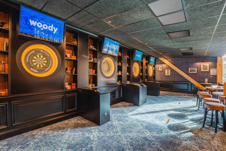 Smart Darts - Woody image2