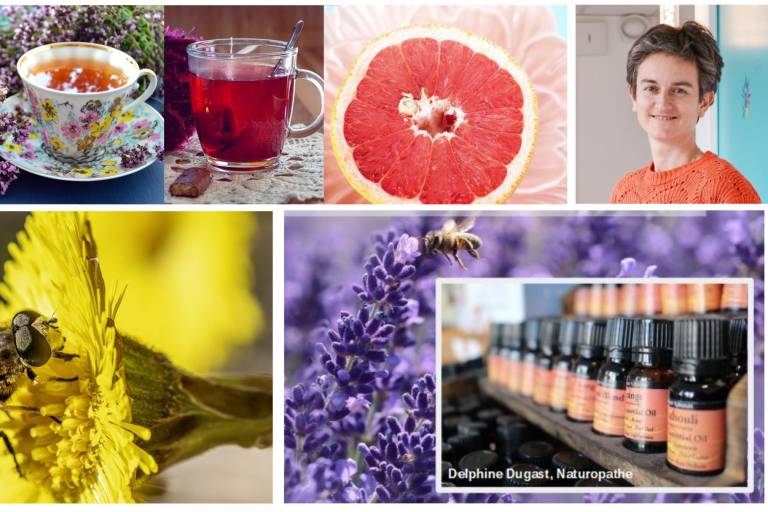 Atelier : Renforcer son immunité avant l’hiver avec des techniques naturelles image1