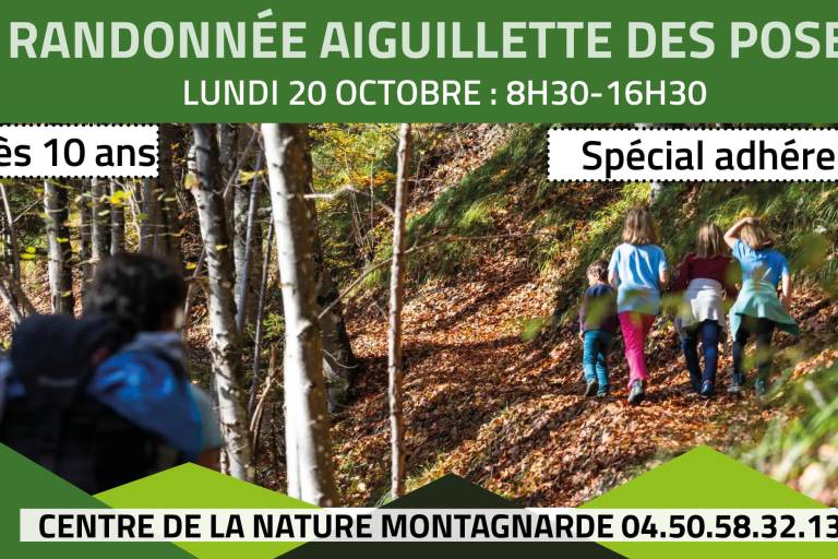 Randonnée à l'Aiguillette des Posettes image1