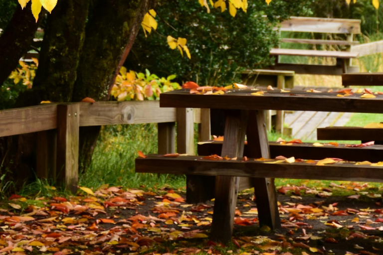 Aire de pique-nique du Grand Massif Express image1