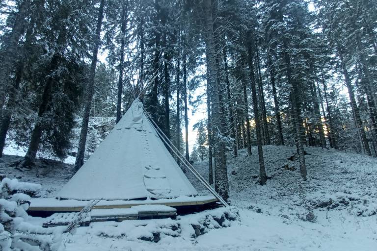 Guided snowshoe hike for all levels image2