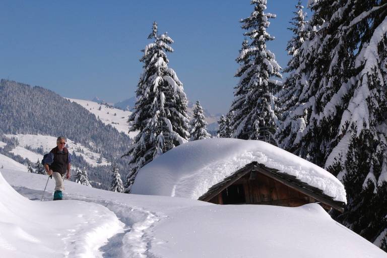 Guided snowshoe hike for all levels image1