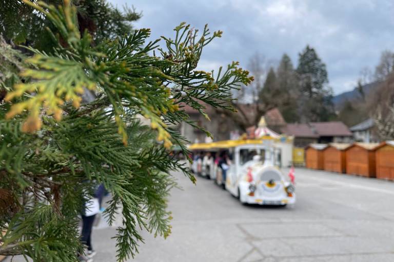 Septitrain: guided tours on Samoëns' little train for groups image2