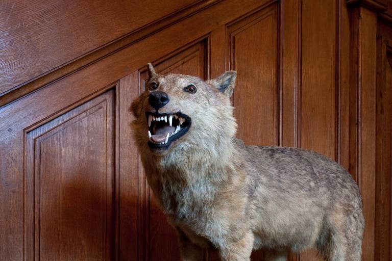 Atelier 4-6 ans : Grand méchant loup image1