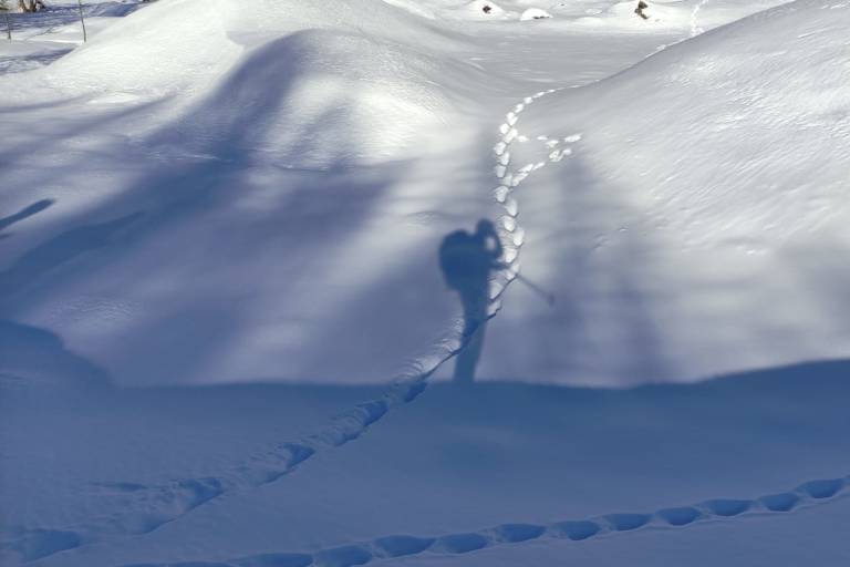 Raquette : "Le Loup, les Animaux et la Nocturne" avec l'ESF image2
