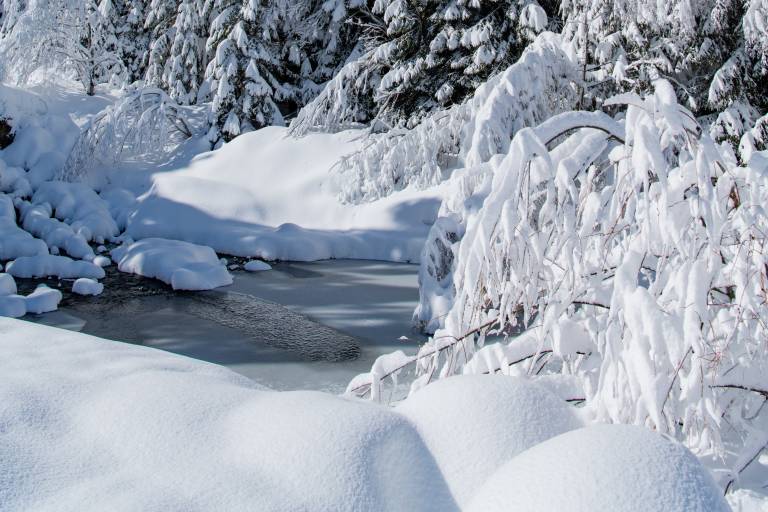 Balade des Gorges de Sarenne - Hiver image1