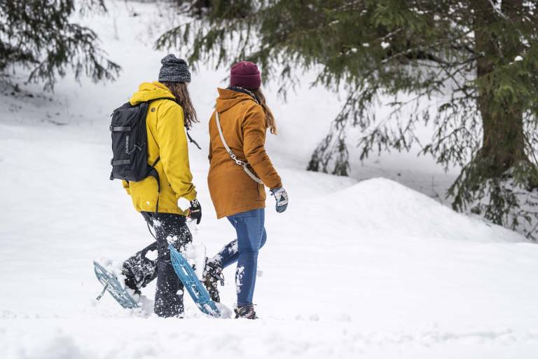 Combe de Bellevue | Pré la Vieille image1