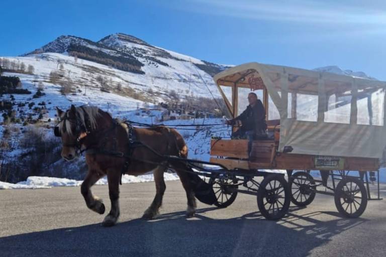 Carriage ride with optional dinner image1