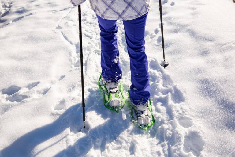 Guided snowshoe trekking in Morgins with Planet Gliss image1