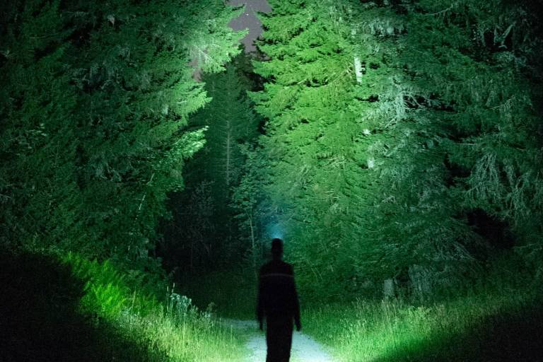 Randonnée nocturne :  Conte moi la nuit image1