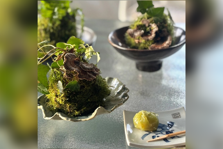 Atelier Kokedama japonais image1