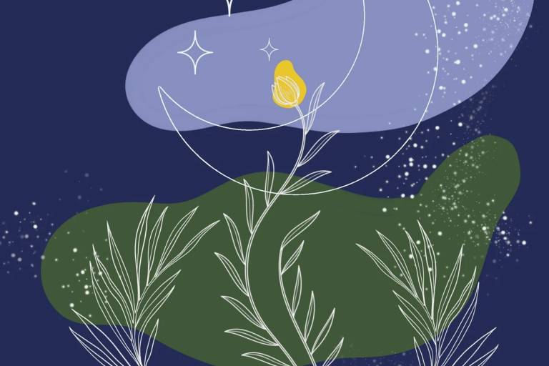 Atelier 7-10 ans : Herbier rêvé image1