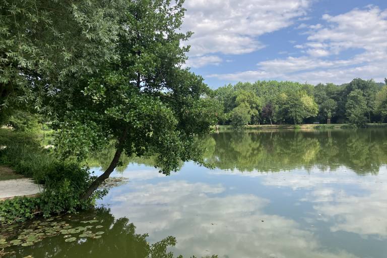 Aire de pique-nique - étang de l'argentelle image2