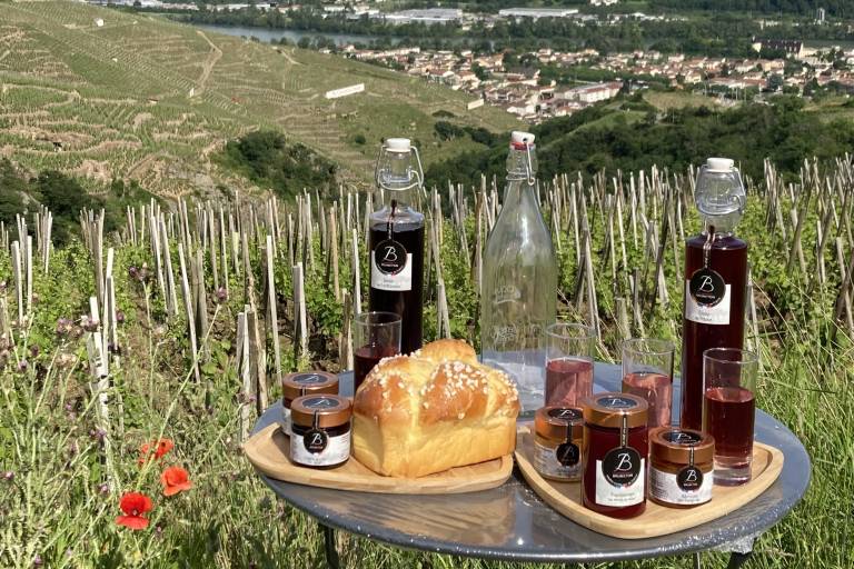 Visite des vignes en duo parents-enfants image2