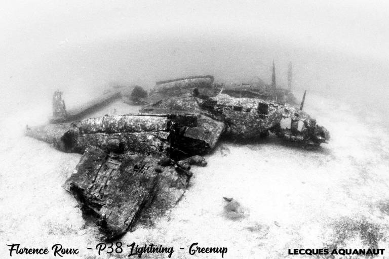 The P38 Lightning image2