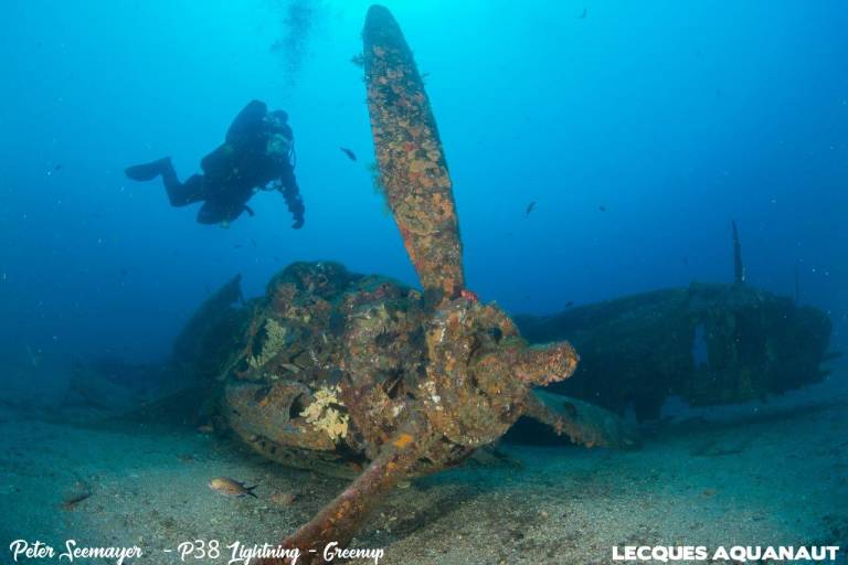 The P38 Lightning image1