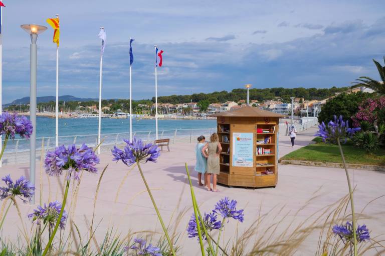 Beach Library image2