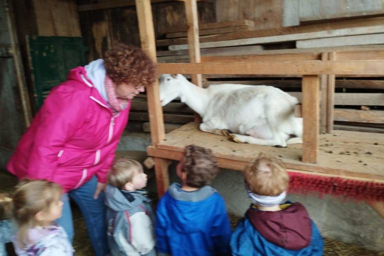 Visite chèvrerie et fabrication d'un baume : atelier parents/enfants image2