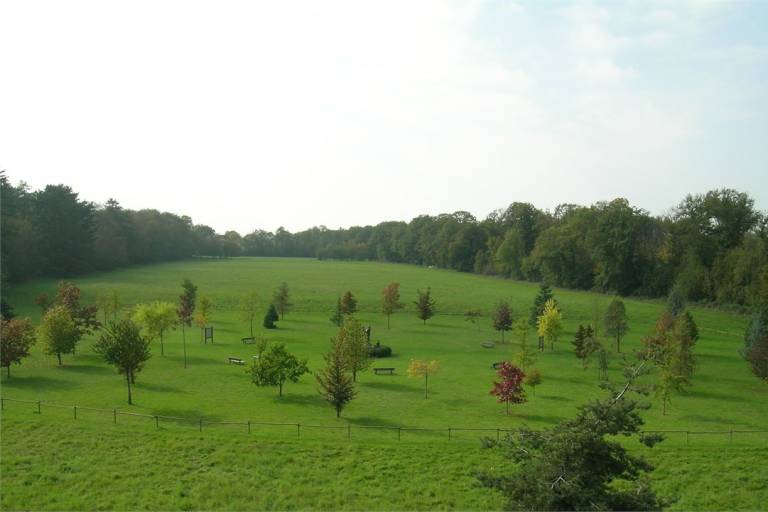 Arboretum de Ripaille image1