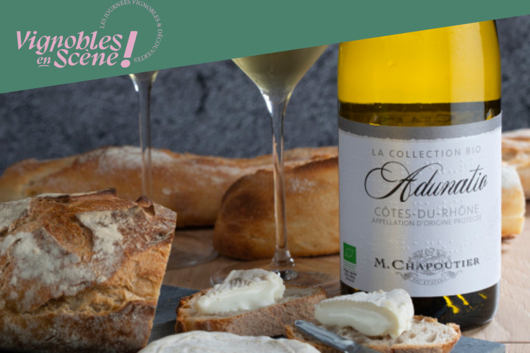 Atelier "Vin & fromage" - M.CHAPOUTIER image1