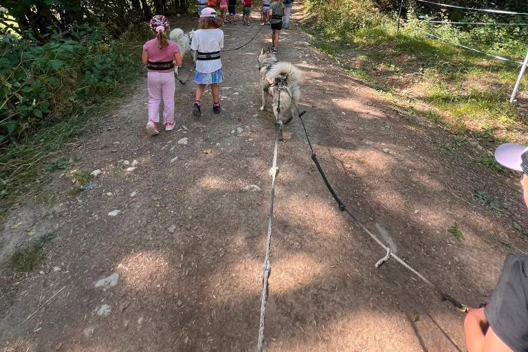 Nordic dog activities on le plateau des Moises image2