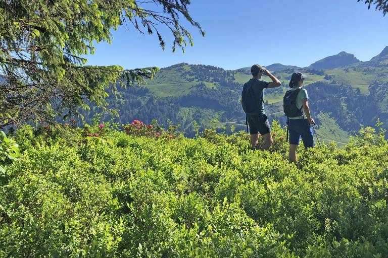 Balade sur les crêtes de Super Morzine et au Belvédère du Lac image1