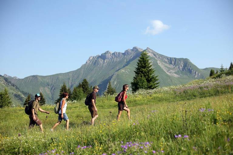 Le Grand Tour du Mont Chéry  et variante image1