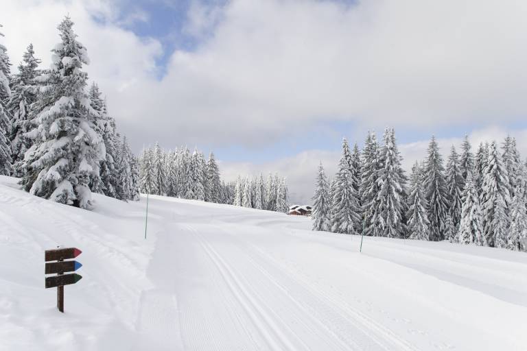 Le Tour du Golf hiver image1