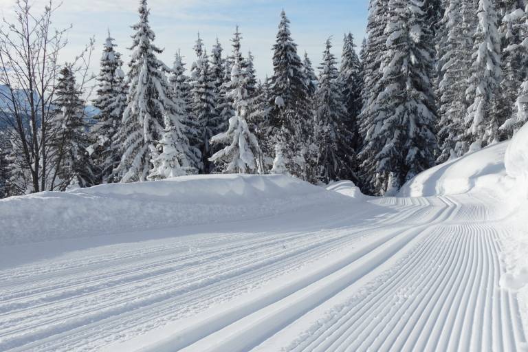 Le Bouchet raquettes hiver image1