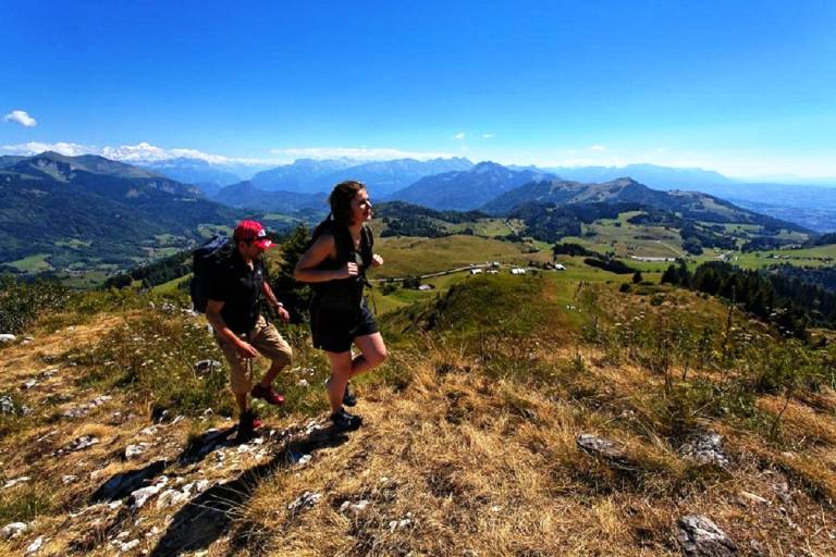 Pointe de Miribel - from Villard image1
