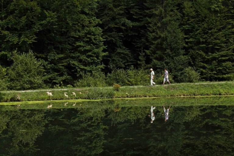 La Crossetaz Fitness Trail image1