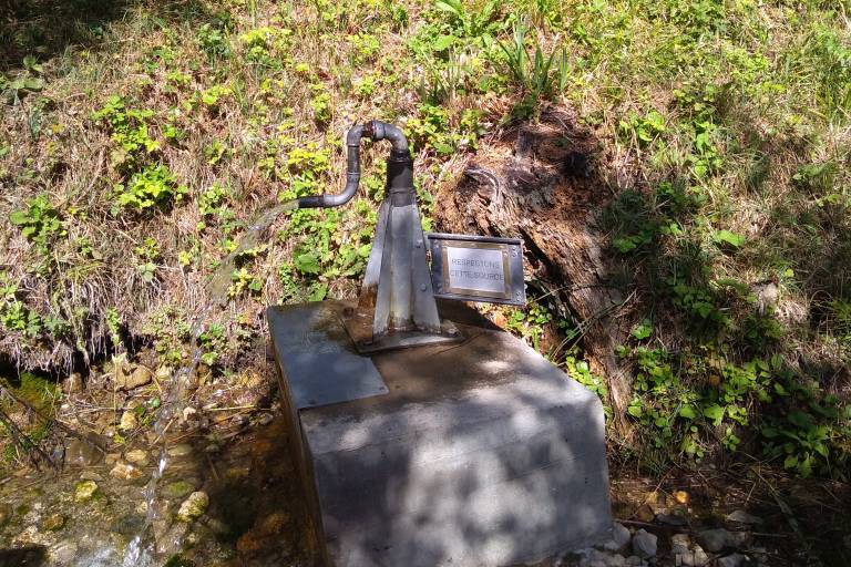 Balade découverte du Mont Vouan image2