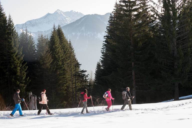 Snowshoeing around the Drouzin forest image2