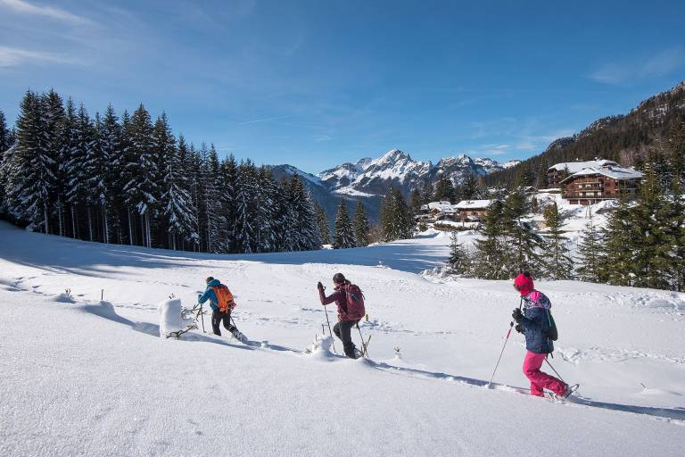Around Drôline by snowshoe image1