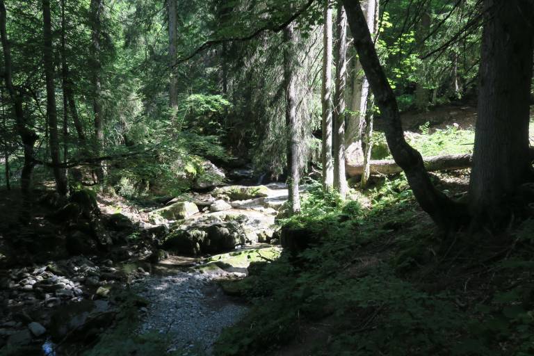 Walking trail: Ardent to Lindarets image2