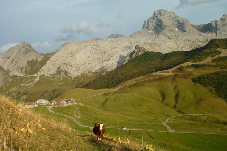 La clef des Annes image2