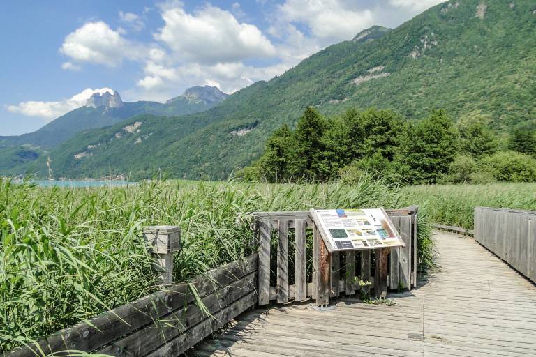 Sentier pédestre de la réserve naturelle du Bout du Lac d'Annecy image1