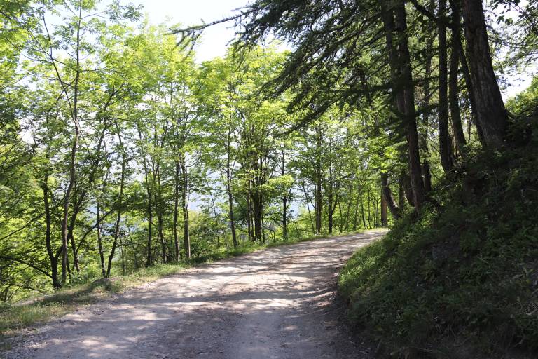 La piste du Château image1