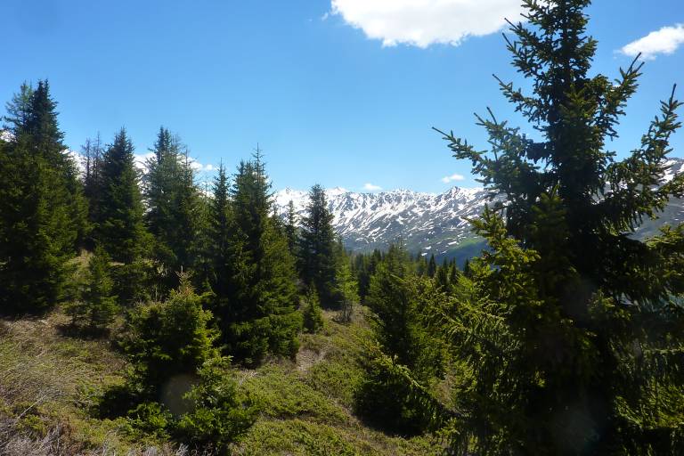 La piste du Château image2