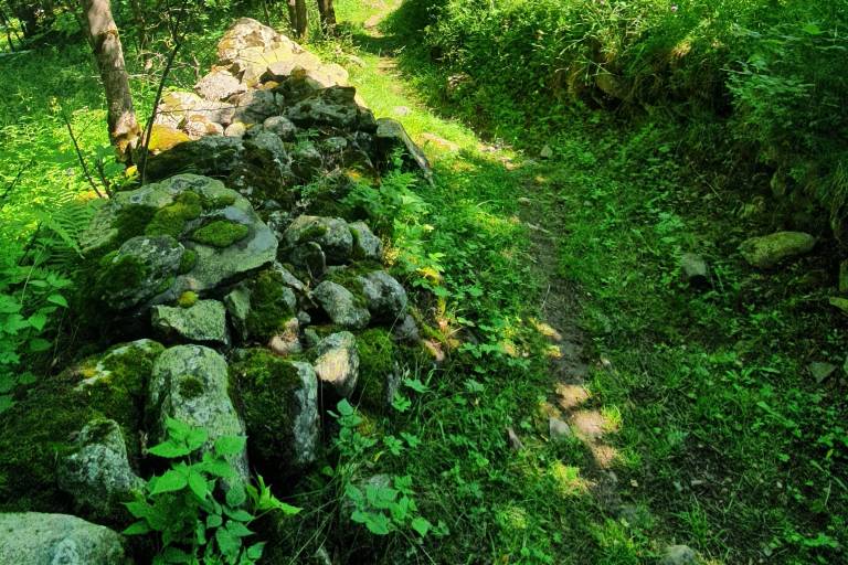 Balade au Moulin des Combes : sentier à thème sur les oiseaux image2