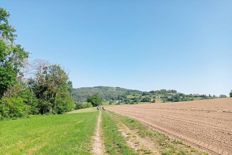 Randonnée pédestre La Biolle image2