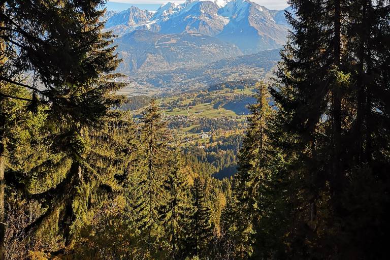 Le plateau des Bénés – sentier pédestre image2