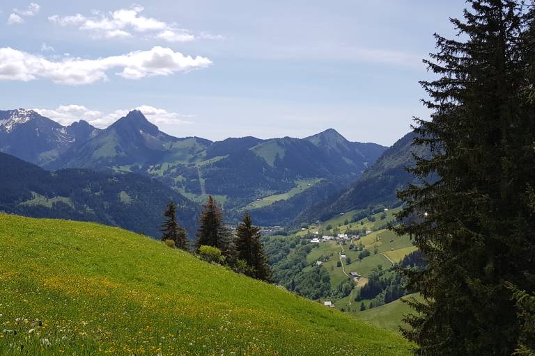 Trail circuit 45b vert - Boucle du Mont depuis le village d'Abondance image1