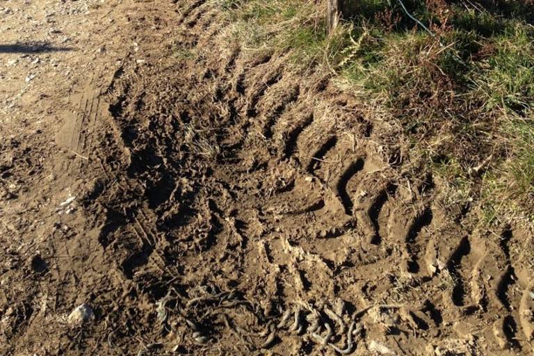 Entre Forêts et Collines image2